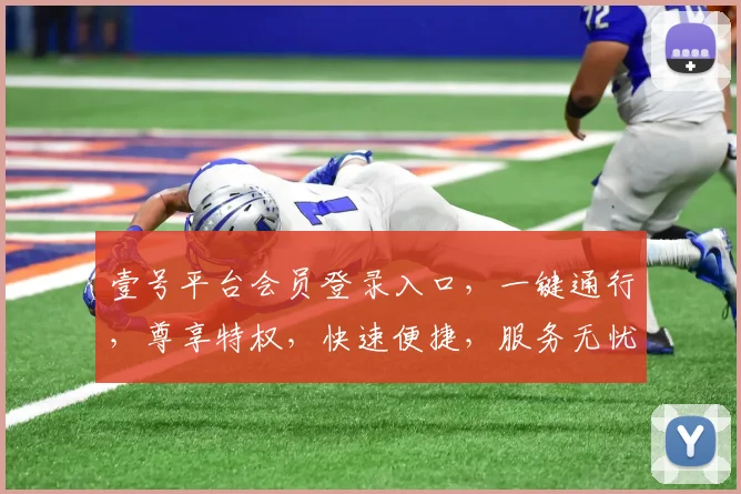 壹号平台会员登录入口，一键通行，尊享特权，快速便捷，服务无忧，三步直达，尊贵体验，尽在壹号平台