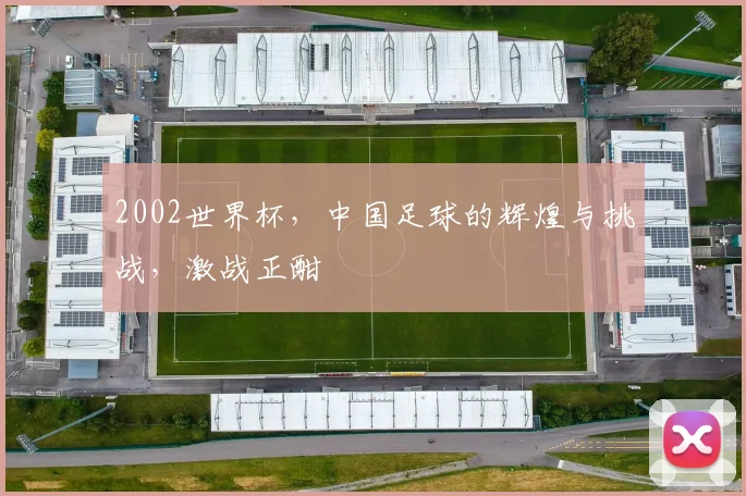 2002世界杯，中国足球的辉煌与挑战，激战正酣
